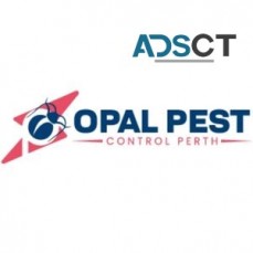 Pest Control Perth