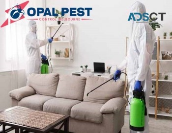 Pest Control Melbourne