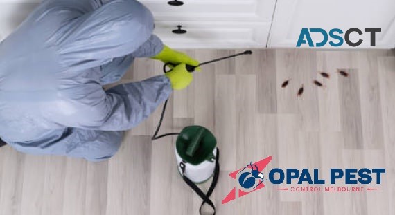 Pest Control Melbourne