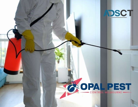 Pest Control Melbourne