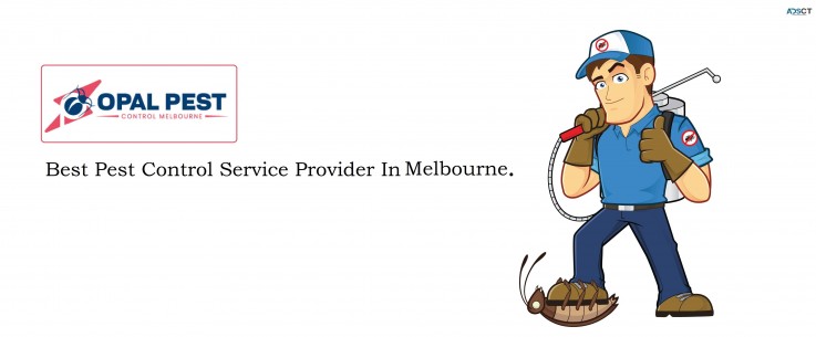 Pest Control Melbourne