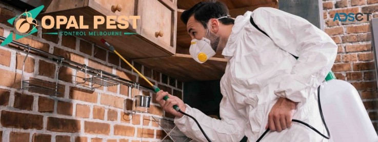 Pest Control Melbourne