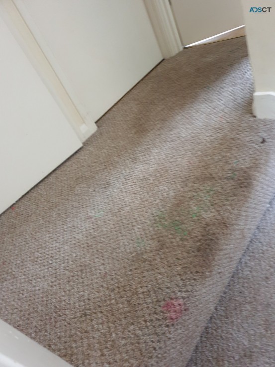 Carpet Cleaning Perth