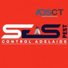 Spider Control Adelaide