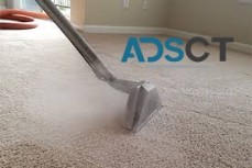 Carpet Cleaning Sydney