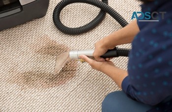 Carpet Cleaning Sydney