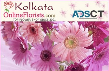 Order Online Gifts to Kolkata at a Low Cost on the Same Day with Free Shipping