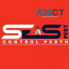 Cockroach Control Perth