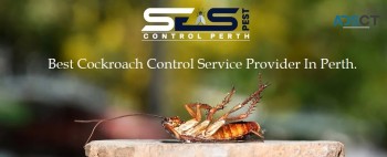 Cockroach Control Perth