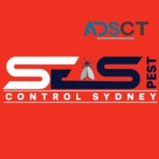 Cockroach Control Sydney