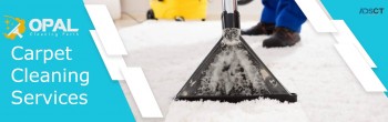 End Of Lease Carpet Cleaning Perth