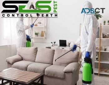 Flea Pest Control Perth