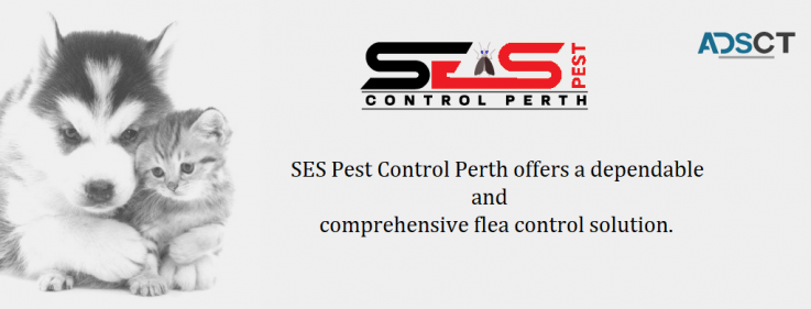 Flea Pest Control Perth