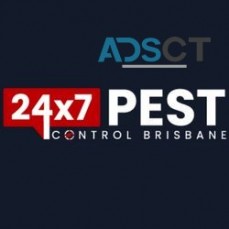 Bed Bug Control Brisbane