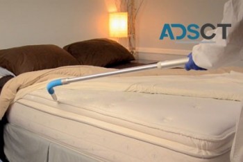 Bed Bug Control Brisbane