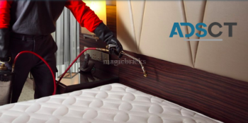 Bed Bug Control Brisbane