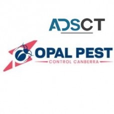 Pest Control Canberra