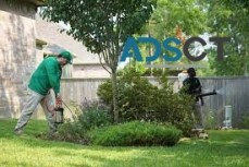 Pest Control Canberra