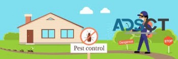 Pest Control Canberra