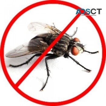 Pest Control Canberra