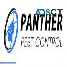 Panther Pest Control Brisbane