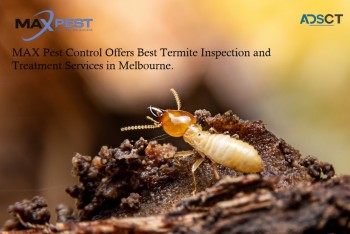 Termite Control Melbourne