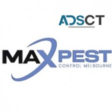 Termite Control Melbourne