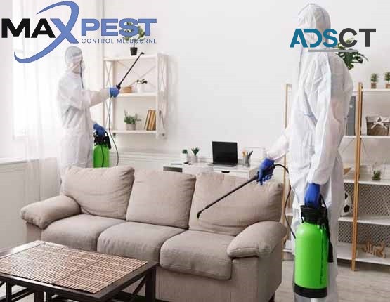 Termite Control Melbourne