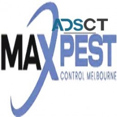 Pest Control Northern Suburbs