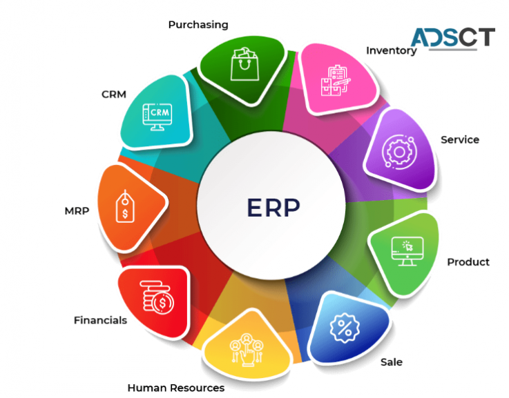 Are you looking for the best ERP CRM development company?