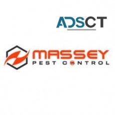 Massey Pest Control Brisbane