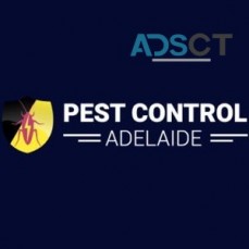 Flea Control Adelaide