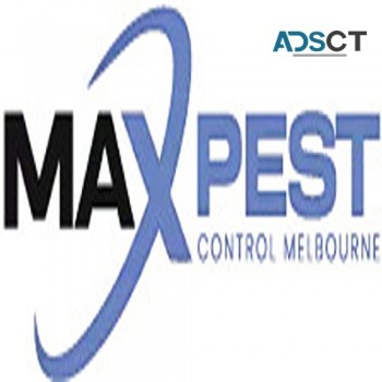 Pest Control Ringwood