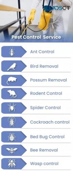 Pest Control Ringwood