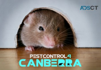 Rodent Control Canberra