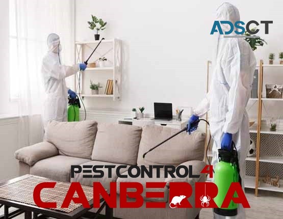 Rodent Control Canberra