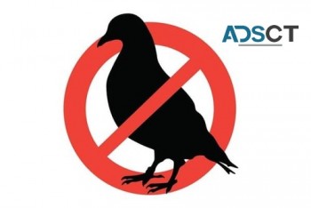 Bird Pest Control Melbourne