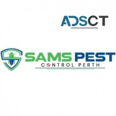 Termite Control Perth