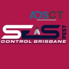 Best Flies Control Brisbane