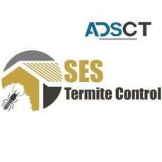 Termite Inspections Melbourne