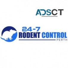 Rodent Control Perth