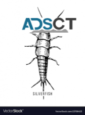 Silverfish Pest Control Adelaide