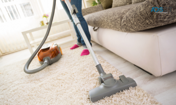 Professional Carpet Cleaning Brisbane By Absolute Carpet Care