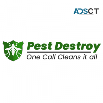 Pest Destroy Cockroach Control Adelaide