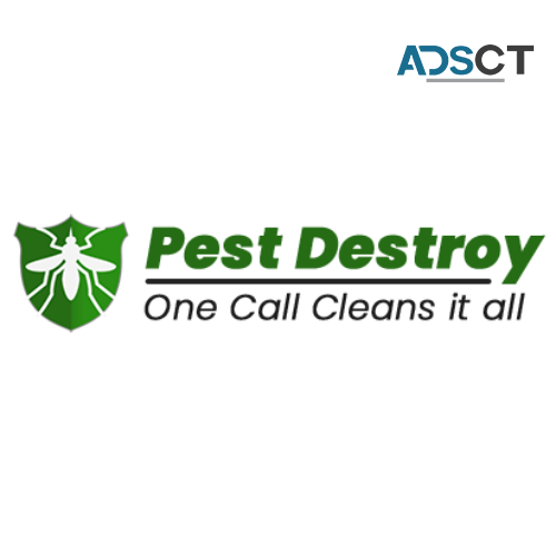 Pest Destroy Cockroach Control Adelaide