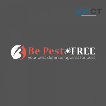 Be Pest Free Termite Control Adelaide