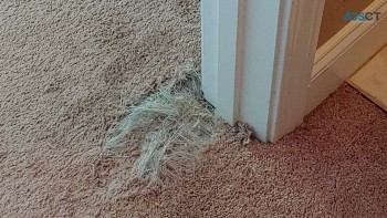 Invisible Carpet Repair Melbourne