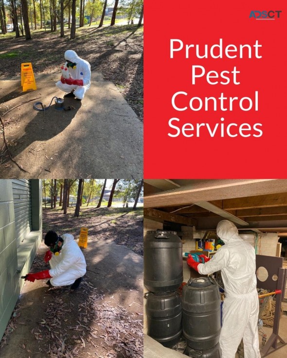 Prudent Pest Control in Melbourne