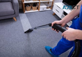 Same day commercial carpet cleaner