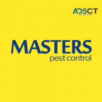 Masters Wasp Removal Melbourne